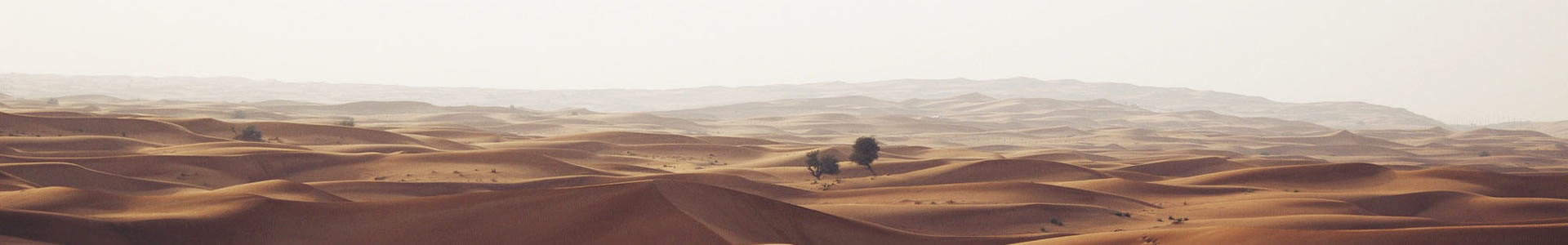 ˹ټҾӽ޹˾